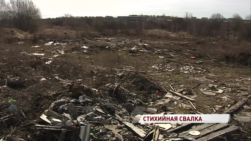 В Норском из-под снега обнажилась стихийная свалка: как с ними борются на региональном уровне