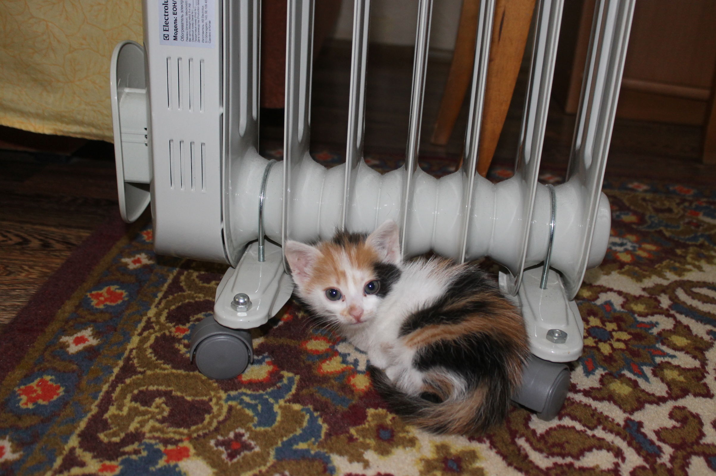 Мэр Ярославля подписал постановление о старте отопительного сезона в городе