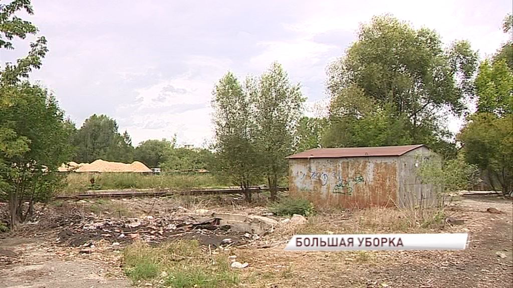 «Экодесант» призывает жителей выйти на уборку улицы Панина