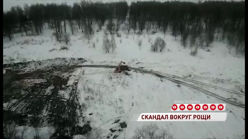 Жители Брагина бьют тревогу: в Павловской роще начали что-то строить