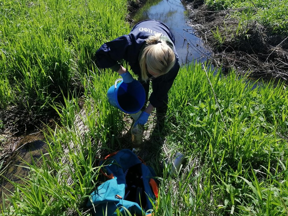 Проверка на «Скоково»: загрязняющих веществ, превышающих предельно-допустимые концентрации не выявлено