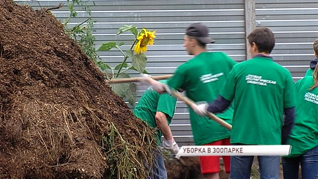 Волонтеры из движения «Экодесант» отправились в Ярославский зоопарк: что их там заинтересовало?