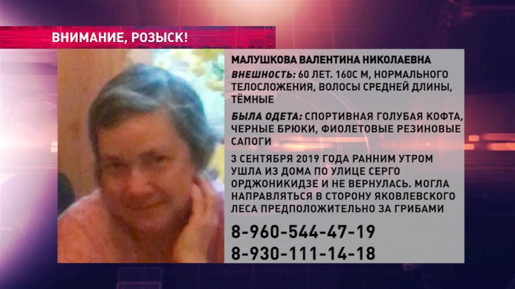 В Ярославле ищут пенсионерку, которая могла пропасть во время сбора грибов