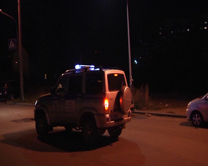 В Некоузском районе полицейские задержали дачного вора