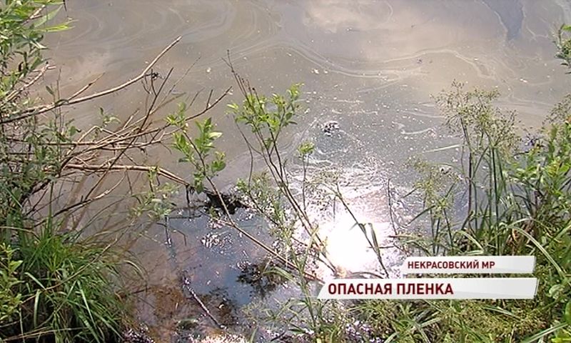 Следственный комитет начал проверку по факту загрязнения Волги нефтепродуктами