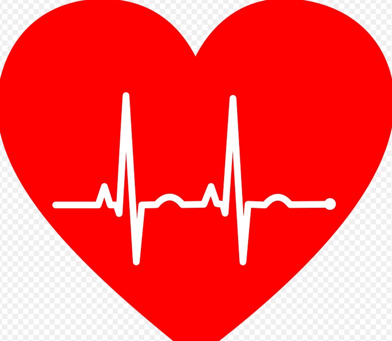 Ярославцы могут бесплатно контролировать здоровье сердца через приложение «МТС 120/80»