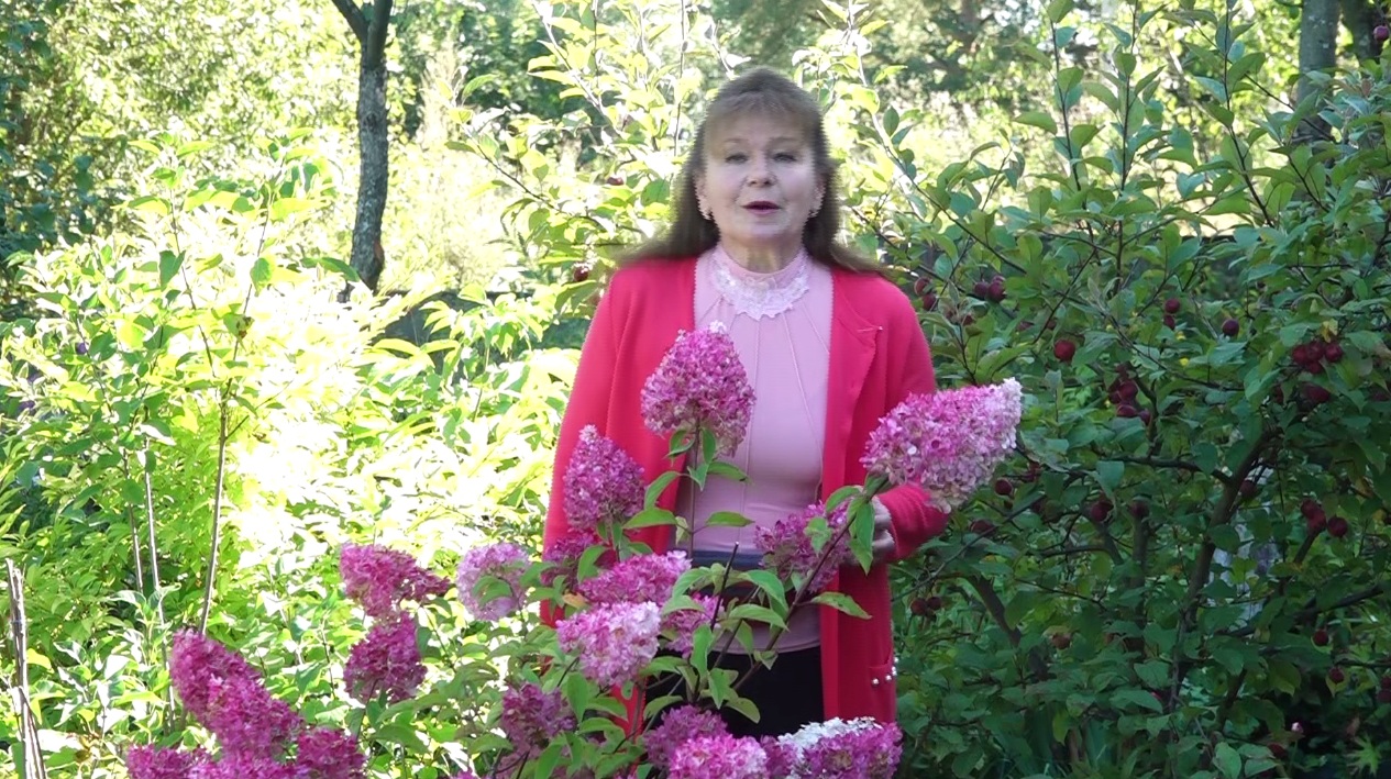 Утреннее шоу «Овсянка» от 18.09.20: узнаем, когда лучше бегать и как готовить гортензию к холодам