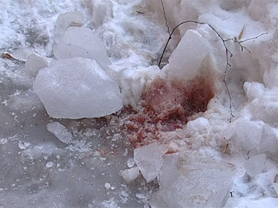 Осторожно, сосульки!