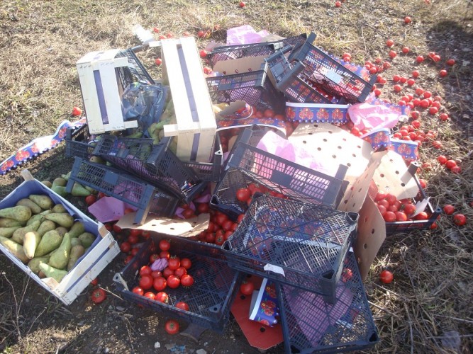 Сначала года в регионе уничтожили более двух тонн «санкционки»