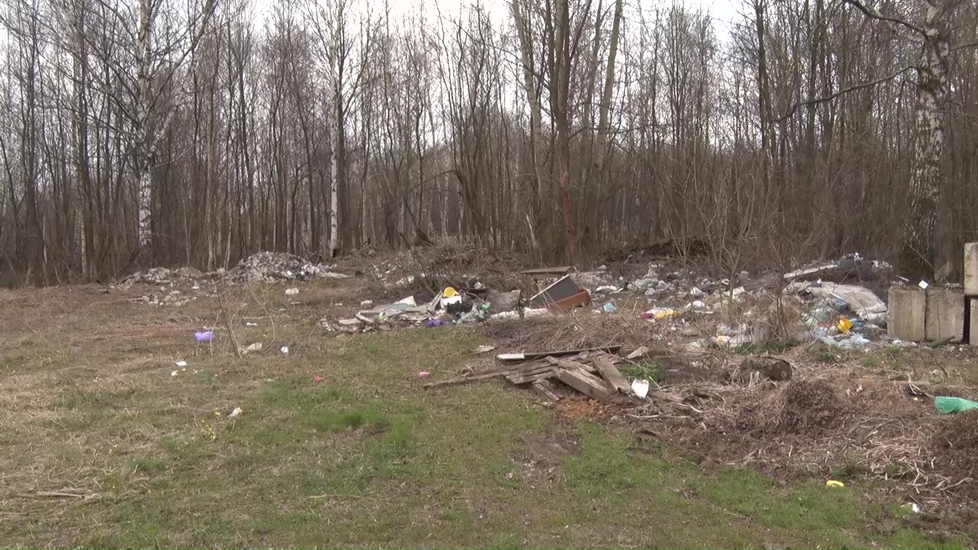 Свалка на берегу реки и отсутствие контейнеров: кто отвечает за мусорный «паводок» во Фрунзенском районе