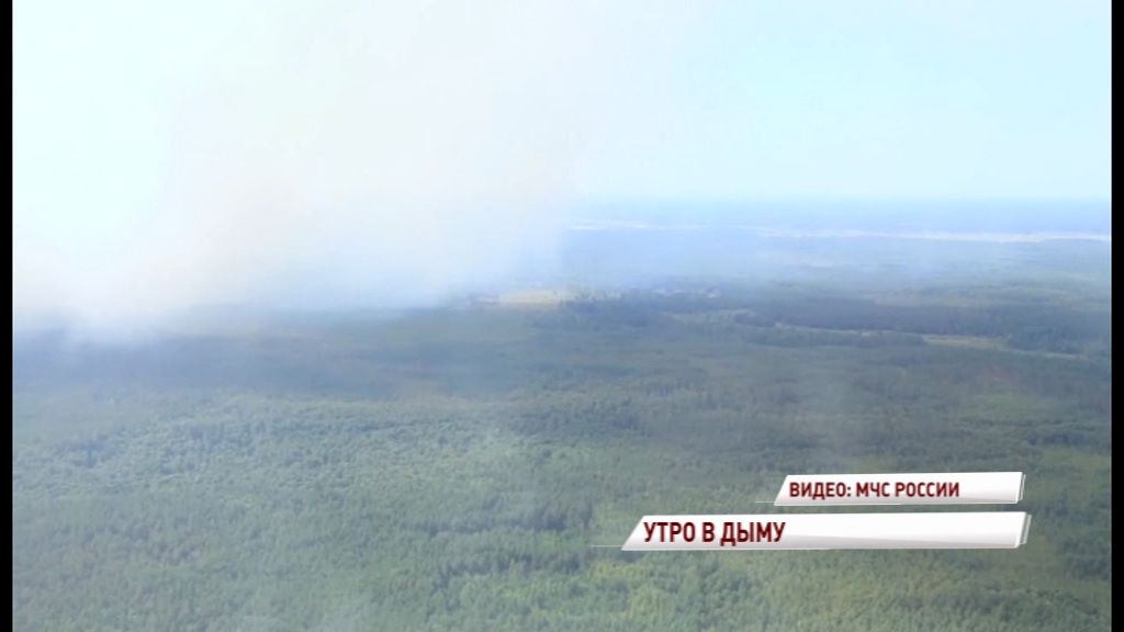 Запах гари и смог: ярославцы утром отправились на работу как в тумане