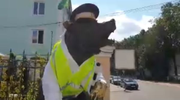 В Ярославле появился медведь - сотрудник ГИБДД