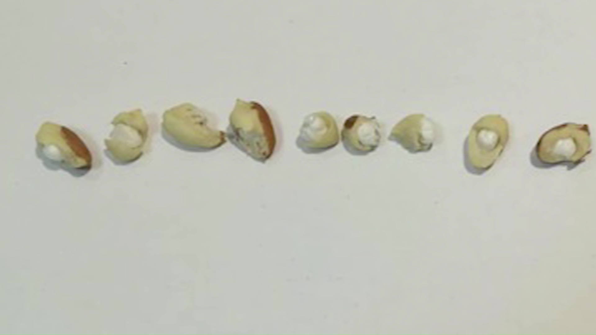 Рыбинец пытался передать в колонию арахис с наркотиками