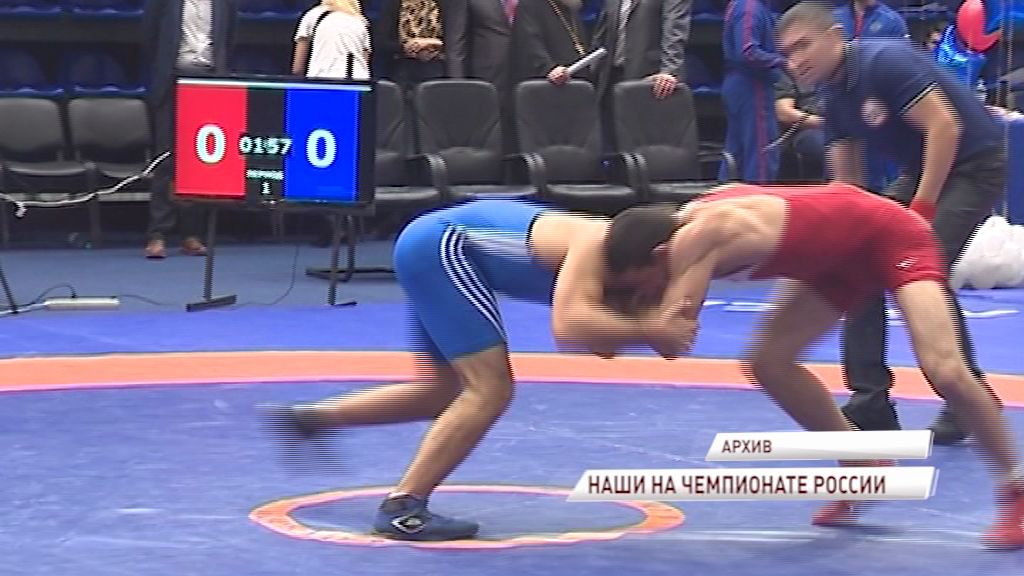 Ярославские борцы привезли три медали с турнира ЦФО