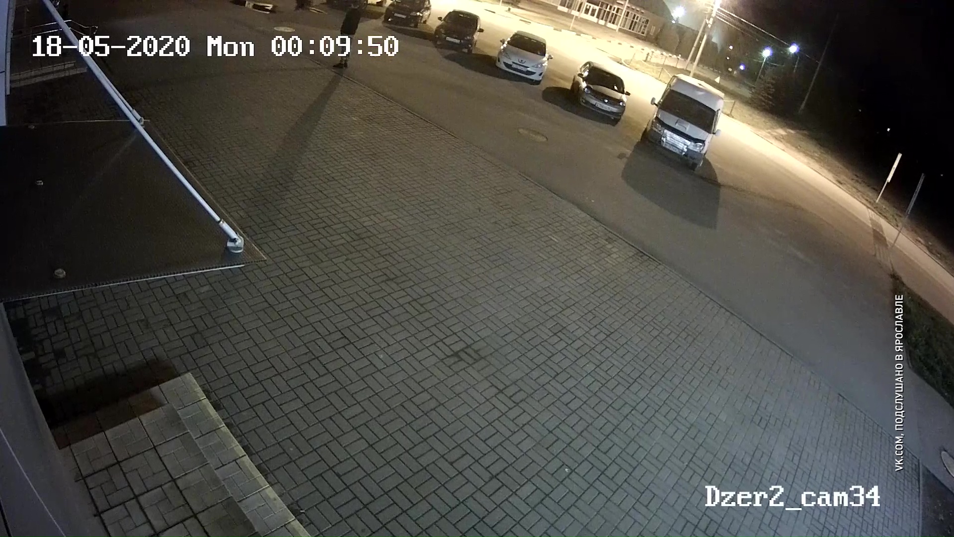 Медведь в городе: подробности нападения дикого животного на ярославца