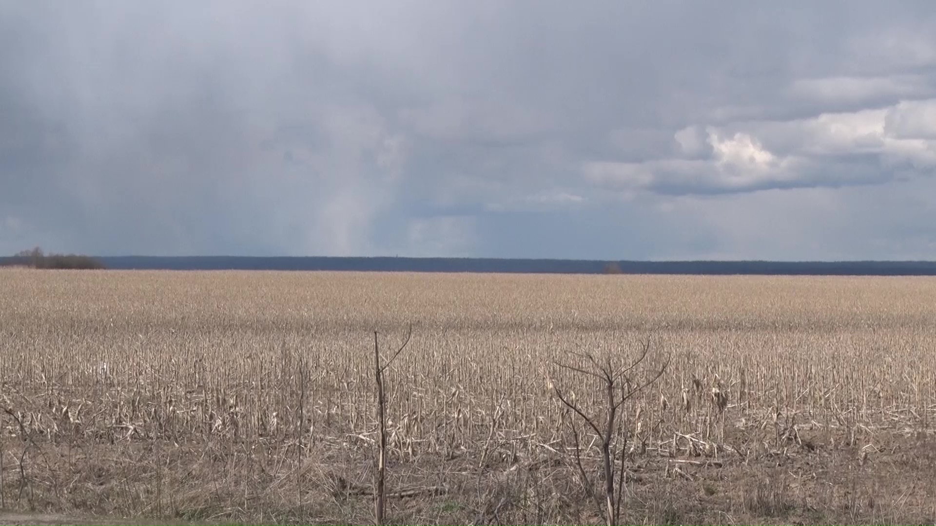 В регионе пресекли 35 случаев браконьерства