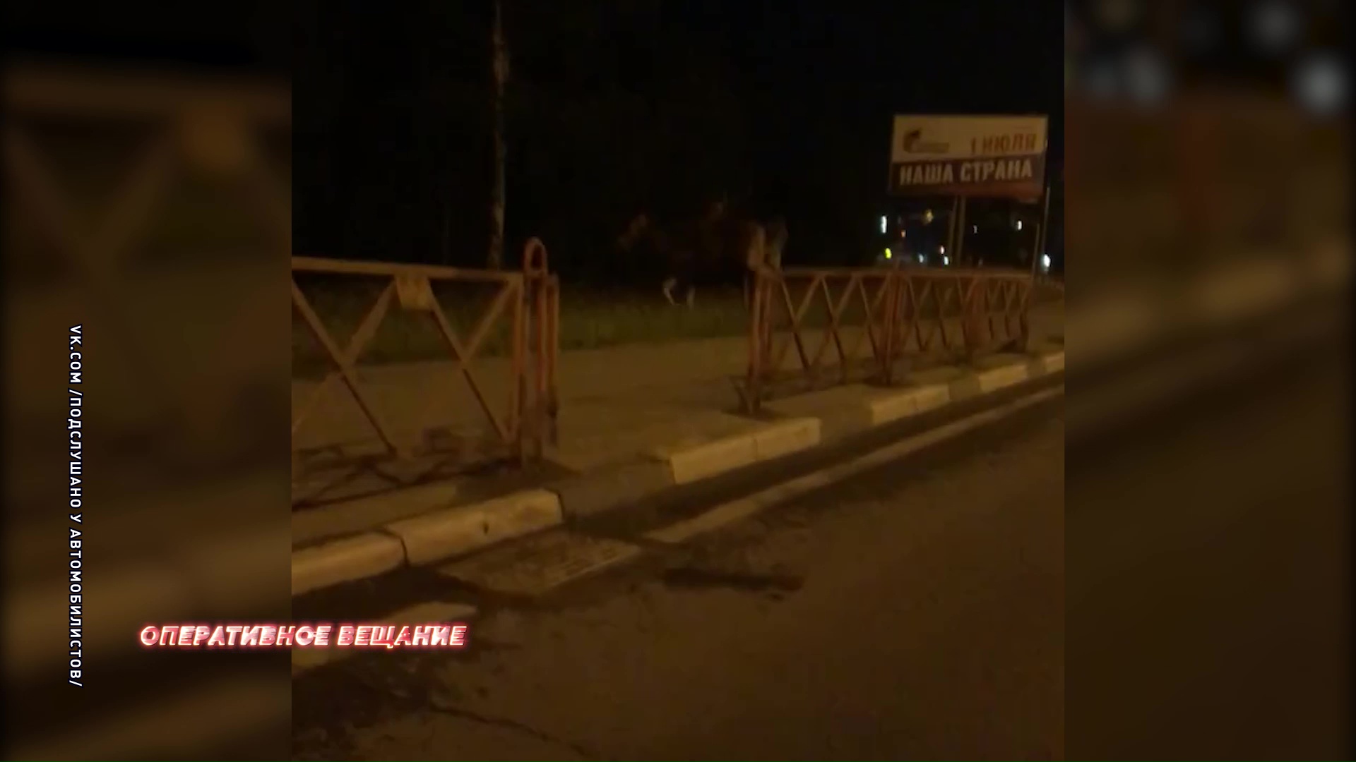 На проспекте Фрунзе прогуливались два лося