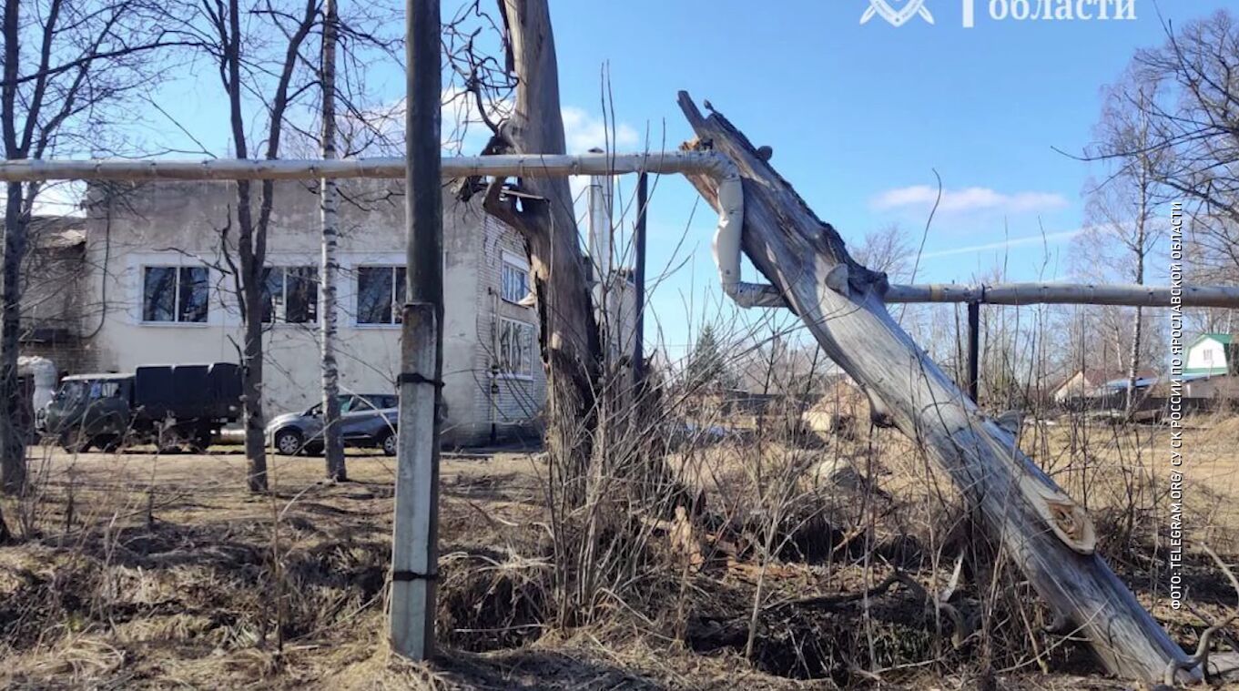 15-летний мальчик в больнице. Возбудили уголовное дело по факту падения дерева