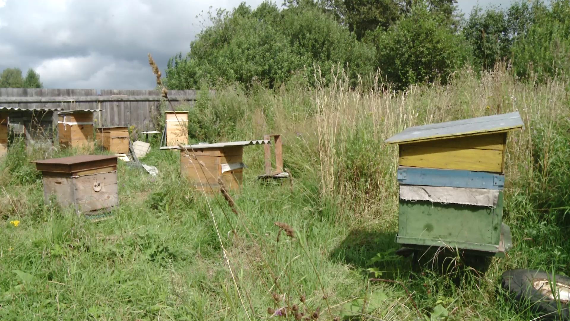 Православные верующие отмечают Медовый спас