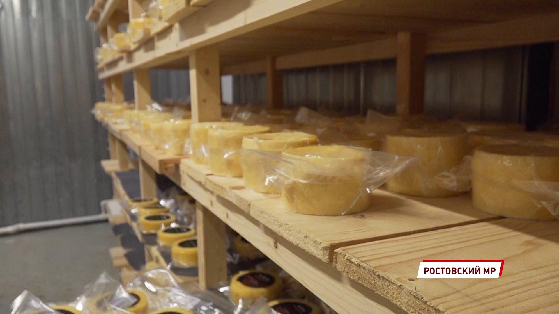 Твёрдый, мягкий с плесенью и даже с углём: в Ростове пройдет ярмарка крафтовых сыров
