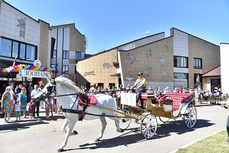 Ярославский зоопарк увеличит свою площадь и построит слоновник