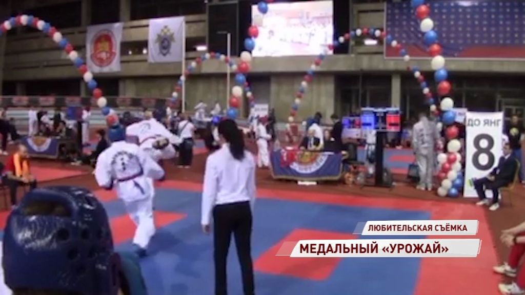 Ярославские тхэквондисты привезли 13 медалей с международных соревнований