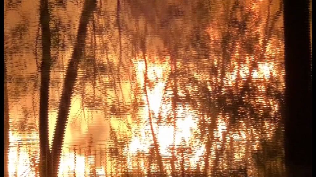 Экстренное предупреждение МЧС: В Ярославской области объявлена чрезвычайная пожароопасность