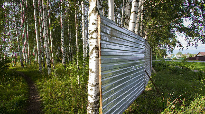 Мэр Рыбинска сообщил о служебном расследовании ситуации с застройкой в березовой роще