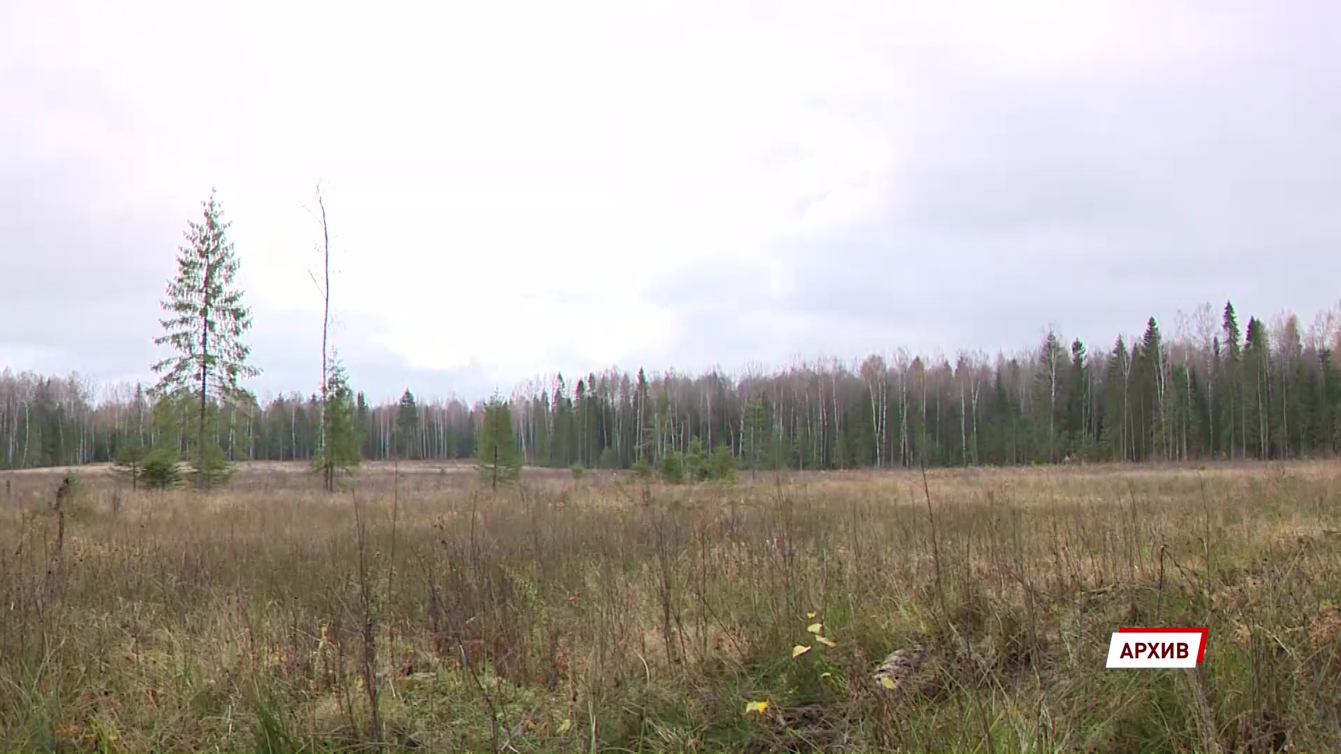 В области пока не зафиксировано случаев заболевания клещевым энцефалитом и боррелиозом