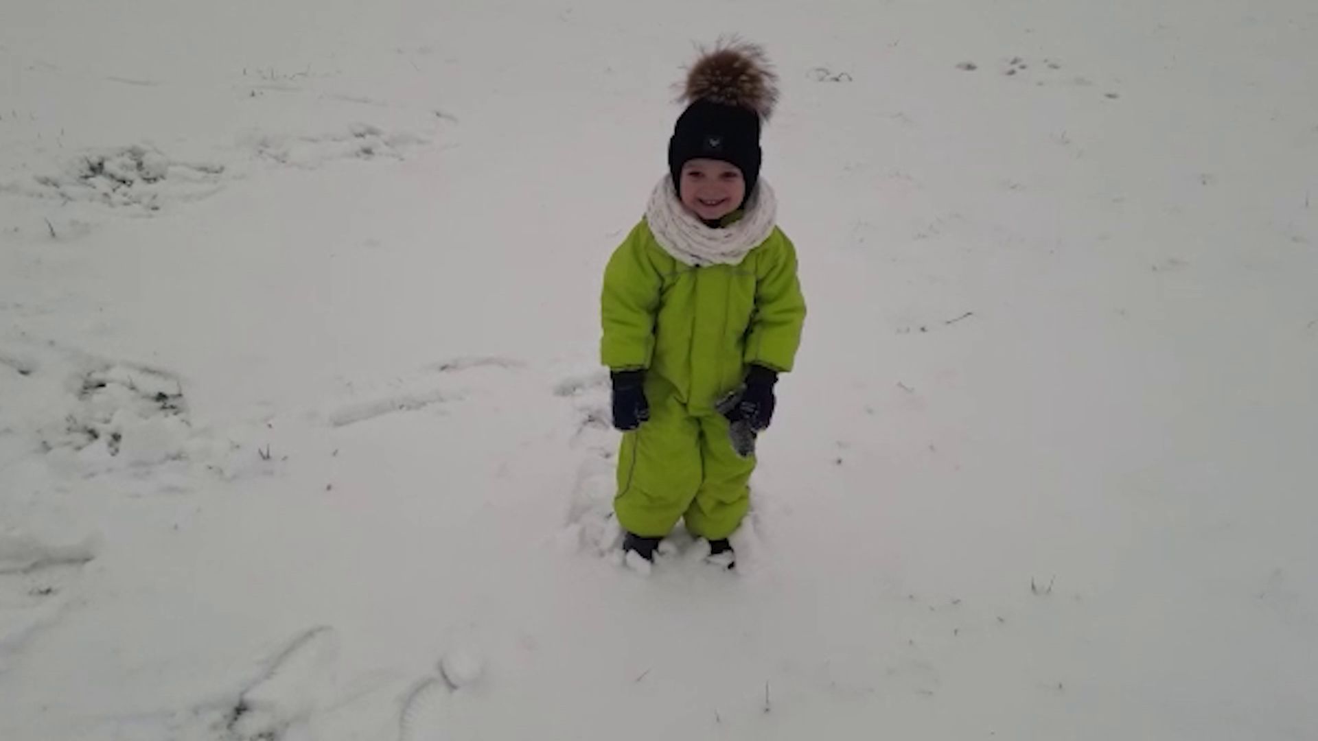 Маленький ярославец нуждается в помощи