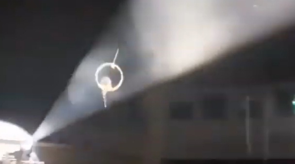 Бобер-акробат под куполом цирка «окропил» зрителей