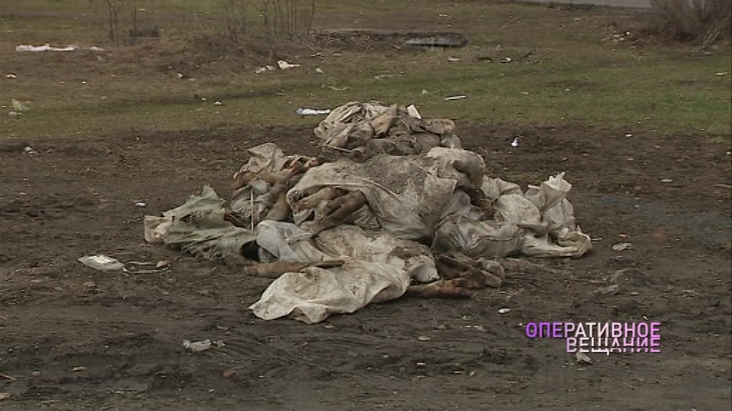 Неизвестные раскидали в Ярославле мешки с останками крупного рогатого скота