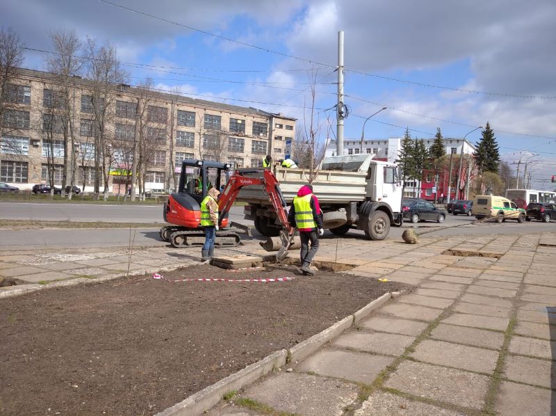 К юбилею Победы на площади имени маршала Жукова в Рыбинске высадили клены