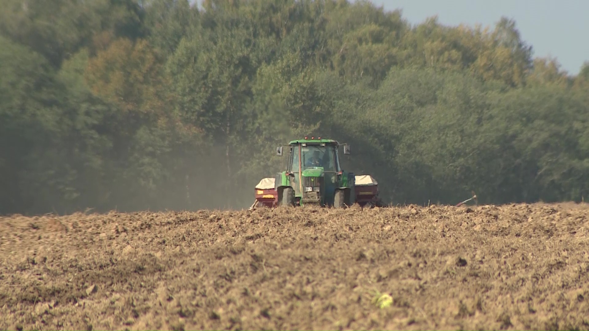 В Ярославской области начался посев озимых культур: какого урожая ждать
