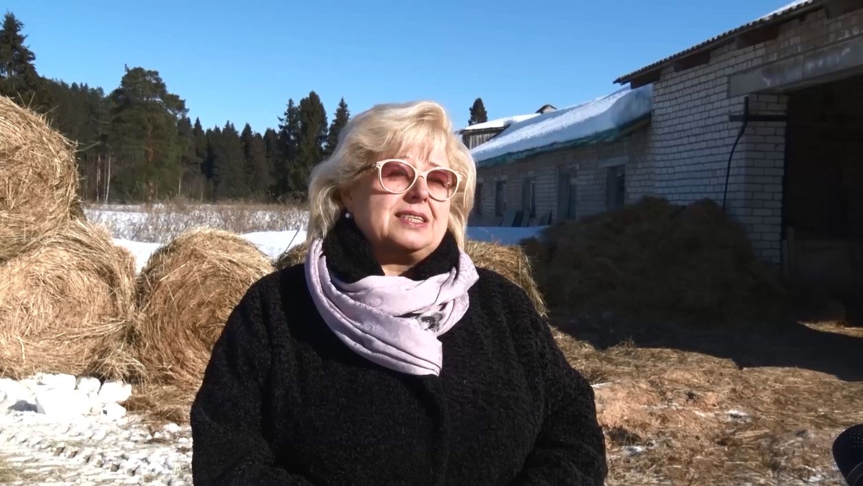 Программа «ТЕРРИТОРиЯ: Даниловский МР»