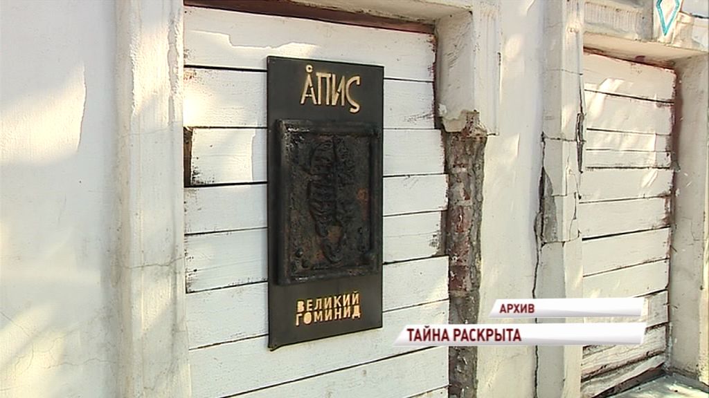 Раскрыта самая загадочная история последних месяцев: кто автор черных голов быков