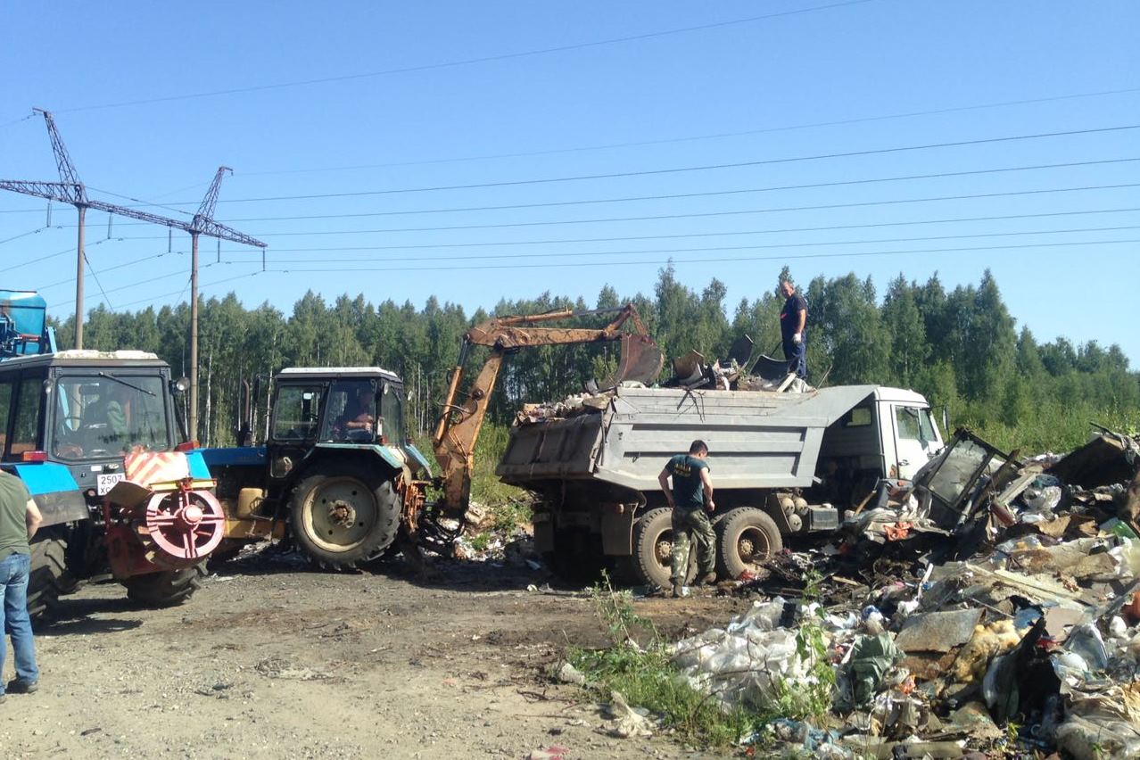 В лесах Ярославской области ликвидировано 70 свалок