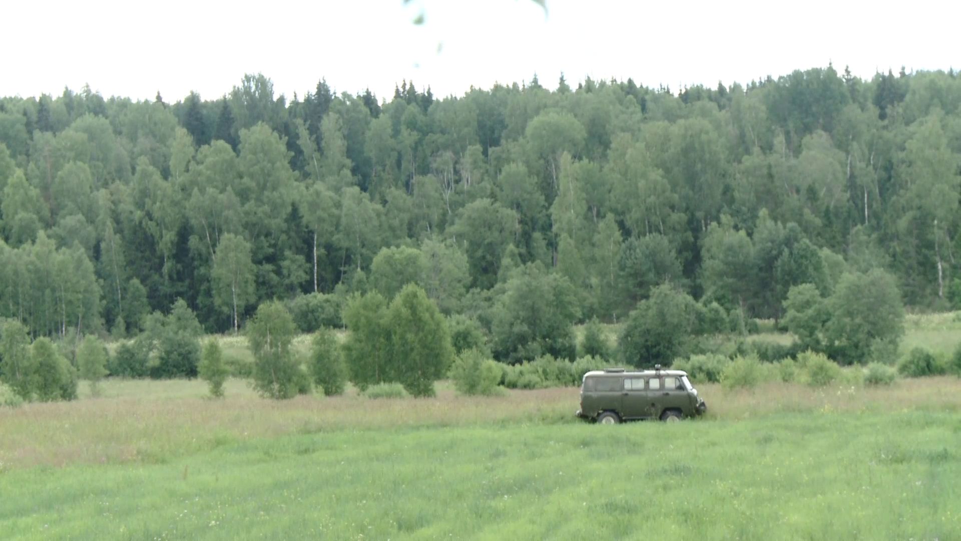 В Ярославской области идет уборка лесного фонда