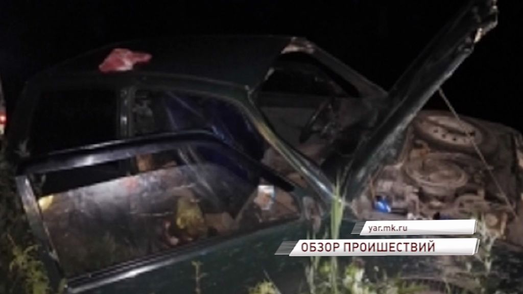 Водитель «Оки» не смог объехать лося: есть пострадавшие