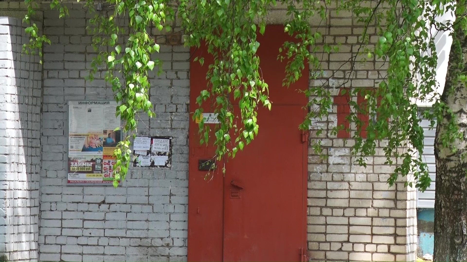 Жильцы дома по улице Корабельной пожаловались на ручьи, текущие по стенам в подъезде