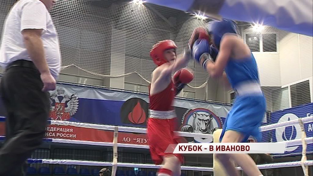 В Ярославле завершился «Кубок Золотого кольца» по боксу: куда отправился главный приз