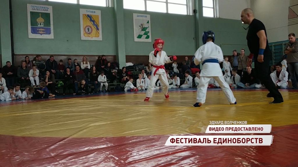 В Ярославле прошел фестиваль единоборств