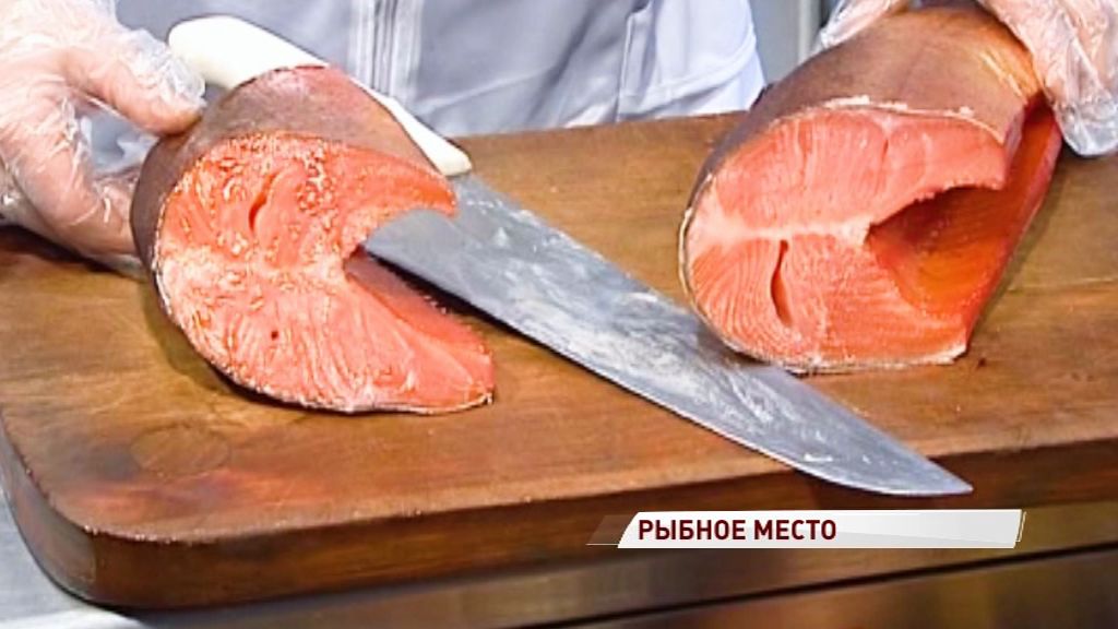 Приятная новость для любителей морской фауны: в Ярославле открылась выставка рыб