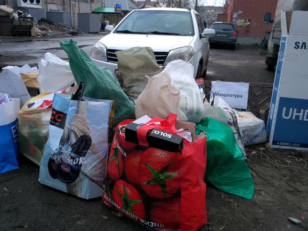 Жители Ярославской области спасли десять деревьев, собрав полтонны макулатуры