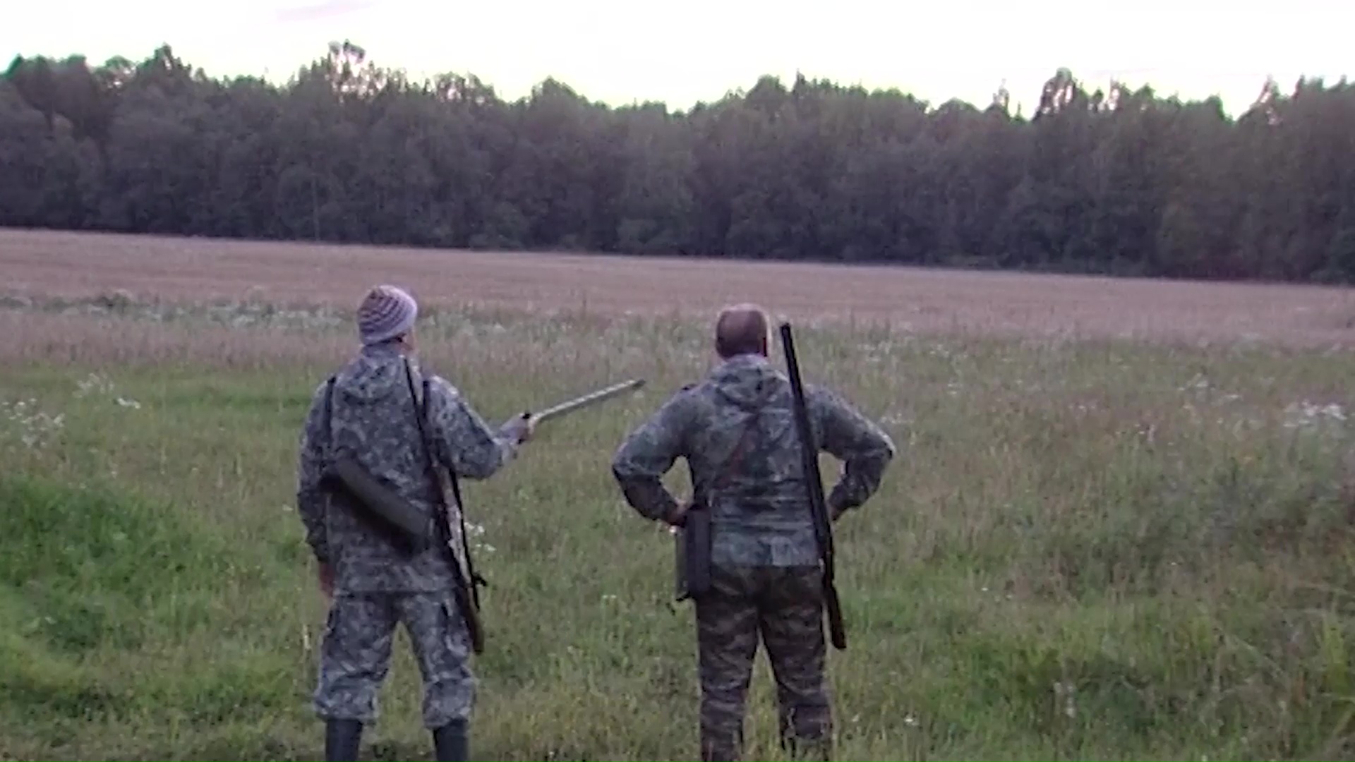 Россиянам разрешили охотиться на животных с луком и арбалетом