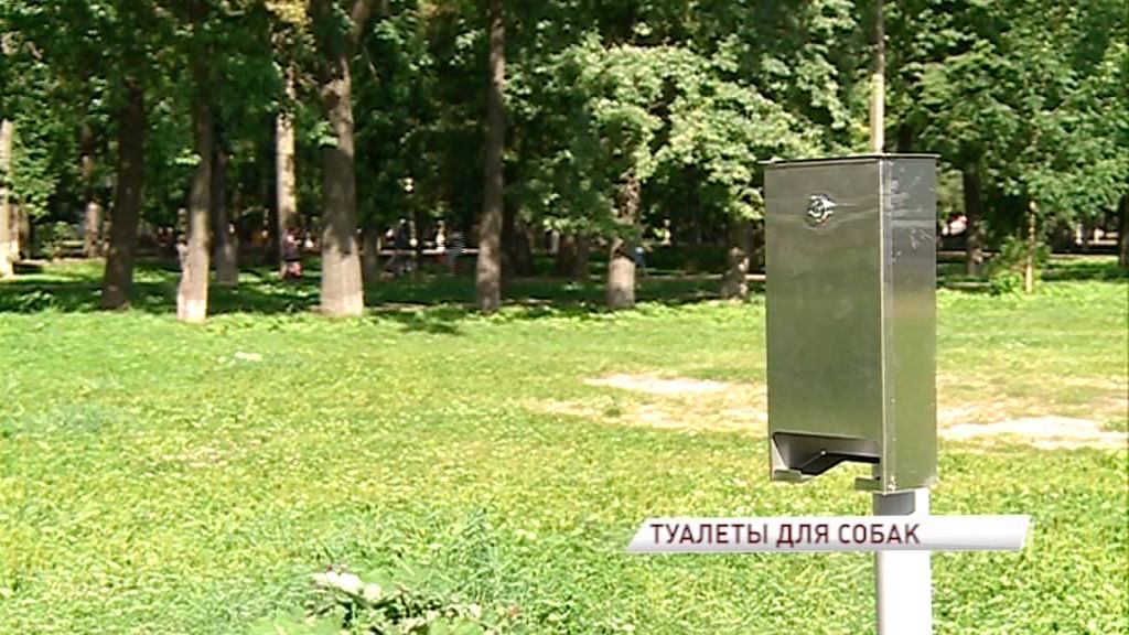 На Ярославских улицах появились официальные «туалеты» для собак