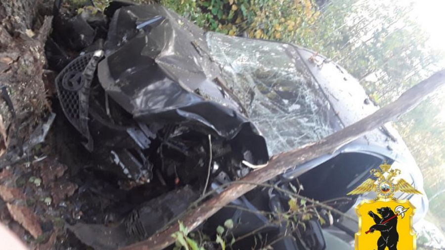 Влетел прямо в дерево: в Переславском районе в ДТП погибли двое