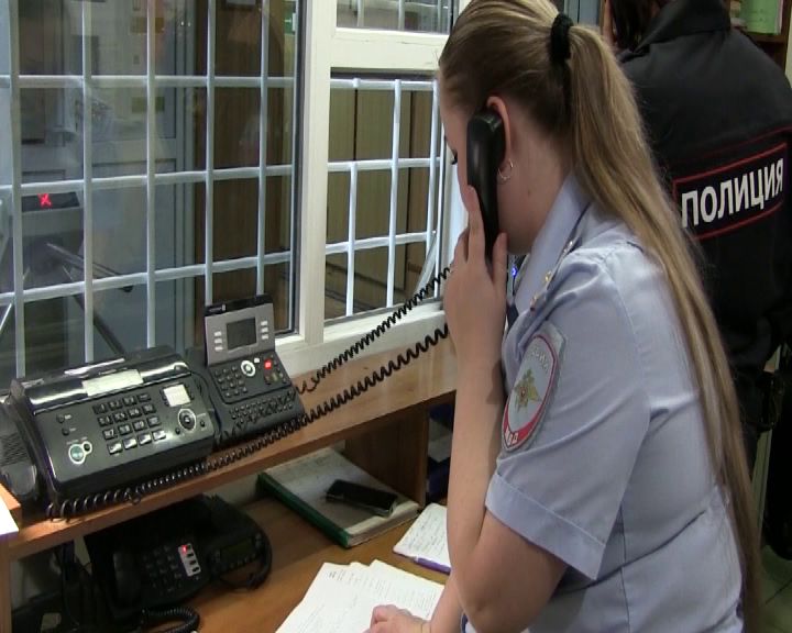 В Некрасовском районе задержали дачного вора