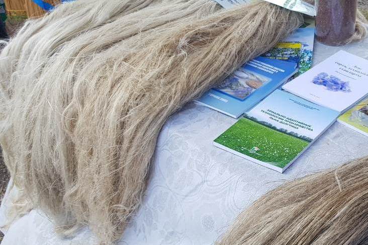 В Любимском районе появится завод по глубокой переработке льна