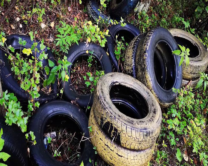 В лесу за Областной больницей неизвестные устроили огромную свалку